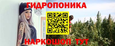 мяу мяу мука Дубна