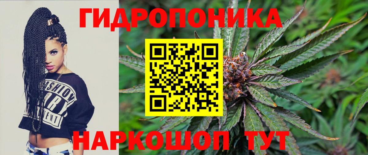 Бошки марихуана SATIVA & INDICA  Конопля OG Kush  Вход с VPN  Канабис план  Бошки марихуана гибрид  Ивантеевка 
